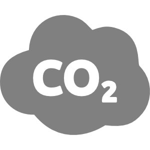 Symbol Schwein