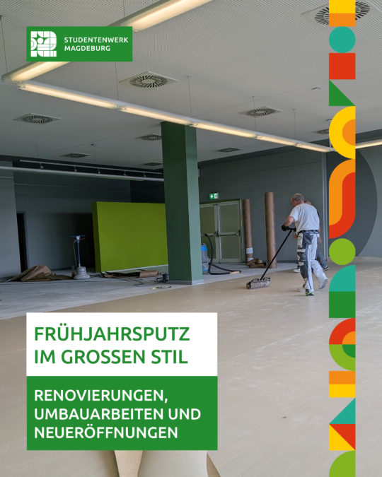 Frühjahrsputz – aber im großen Stil!