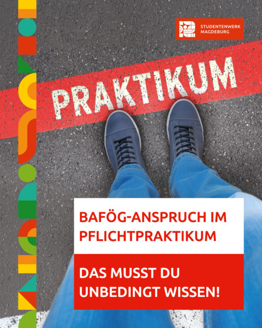 BAföG-Anspruch im Pflichtpraktikum: Das musst du wissen!